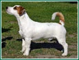 Mayberry Farm's Peppy Boulder