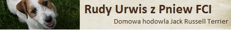 Hodowla Rudy Urwis Z Pniew FCI