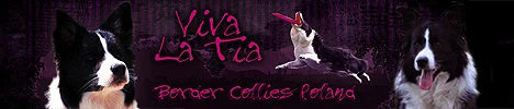 Hodowla Viva La Tia