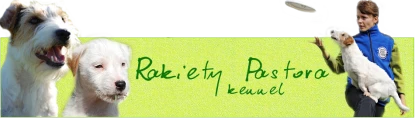 Hodowla Rakiety Pastora