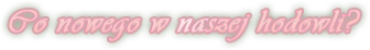 Co nowego w naszej hodowli%3F
